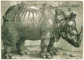 Albrecht Dürer, Das Rhinozeros, um 1515 Albrecht Dürer, Das Rhinozeros, um 1515