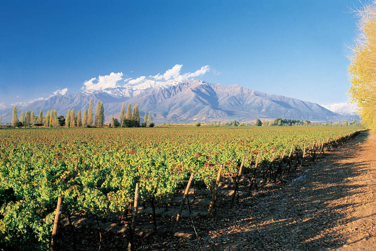 Weinbau in Chile